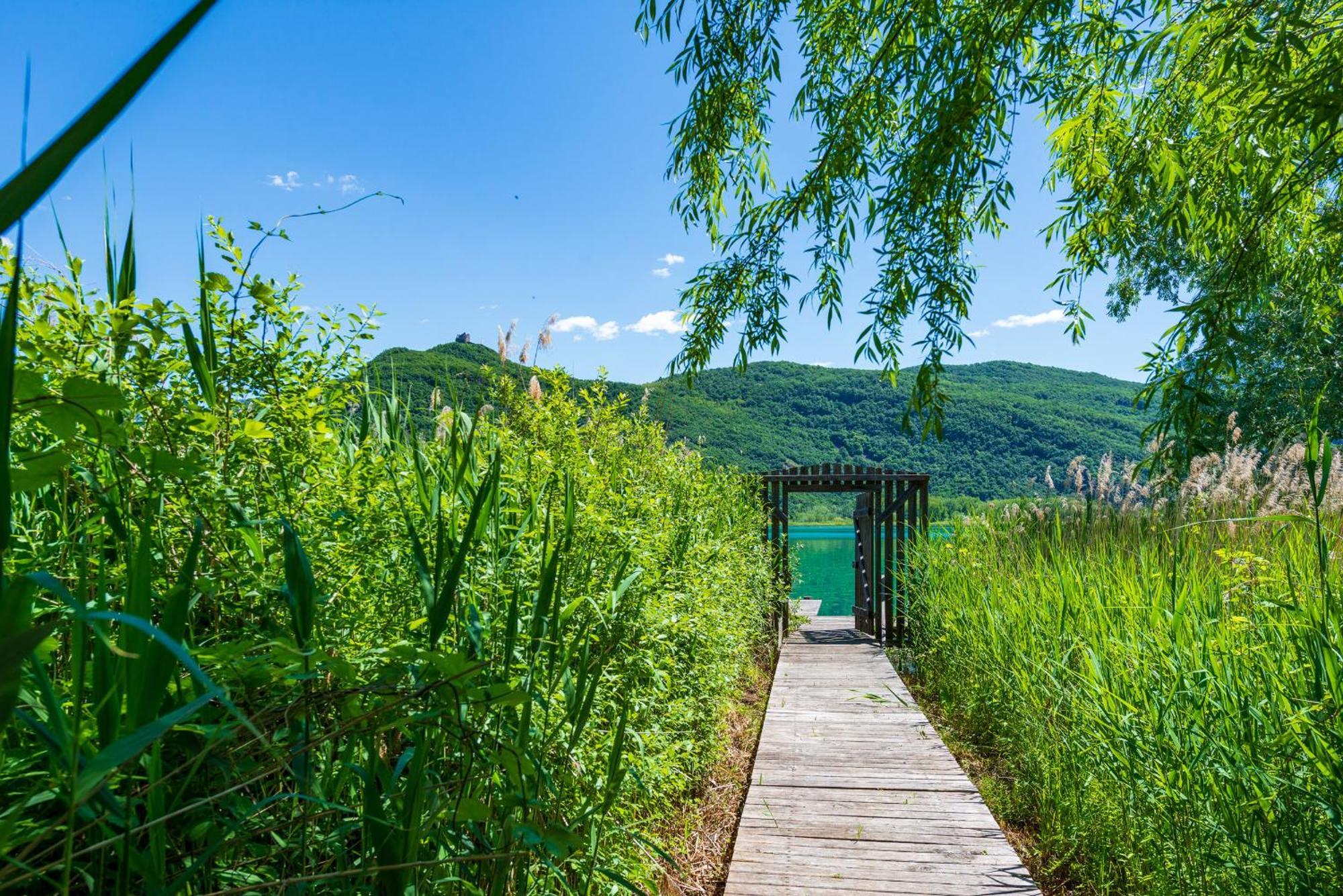 Ueberbacherhof Termeno Εξωτερικό φωτογραφία